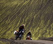 EICMA-2008: 990 Adventure R 2009 года
